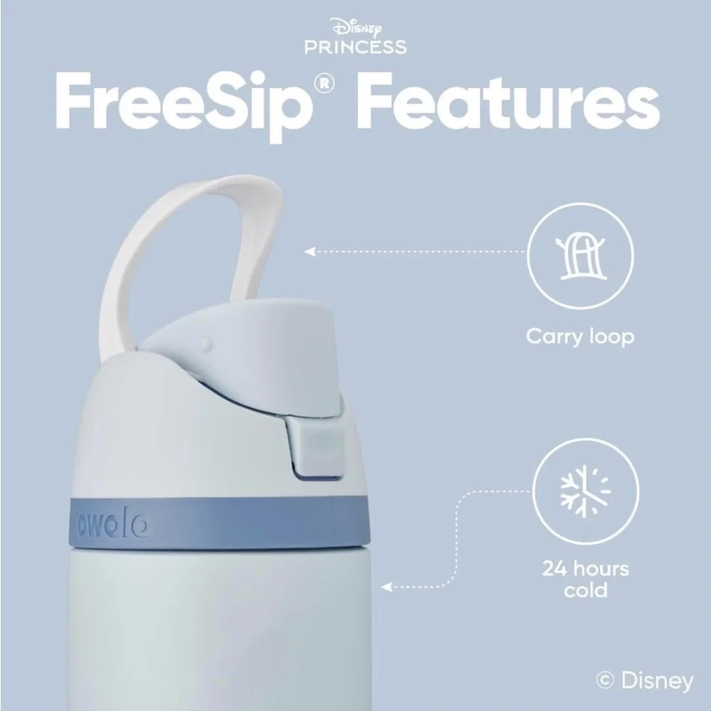 Owala Disney Cinderella Princess FreeSip 24oz